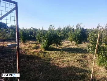أرض للبيع في أربيل - 3840 م² / 40,000,000 IQD