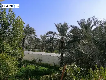 شقة للإيجار في الدورة - 100 م² / 650,000 IQD
