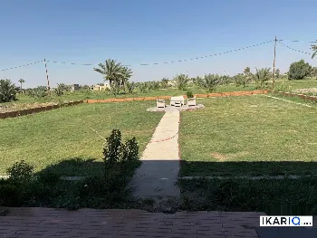 أرض للبيع في الهاشمية - 55 م² / 10,000,000 IQD