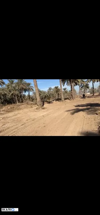 أرض للبيع في اليوسفية - 32500 م² / 6,500,000,000 IQD