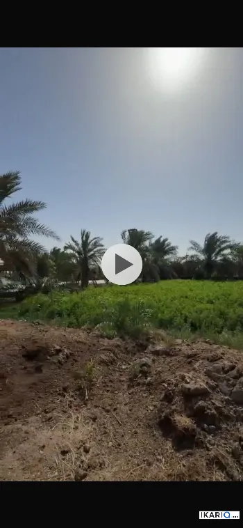 أرض للبيع في ابي الخصيب - 7500 م² / 8,700,000,000 IQD