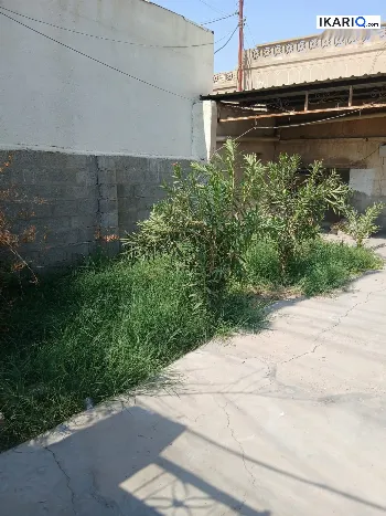 دار للإيجار في الجنينة - 150 م² / 650,000 IQD