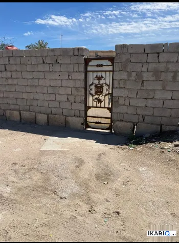 أرض للإيجار في الفيروزية - 250 م² / 250,000 IQD