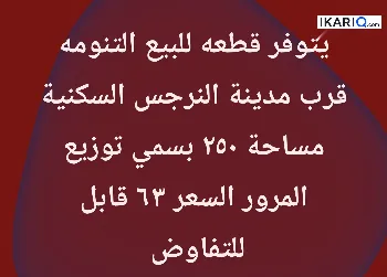 أرض للبيع في التنومة - 250 م² / 6,300,000 IQD