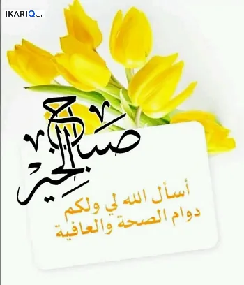 محل للإيجار في اليرموك - 35 م² / 29,000 IQD