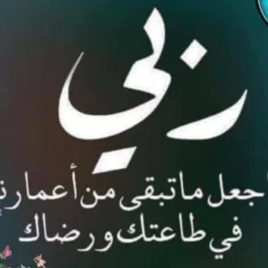 مجدي حميد