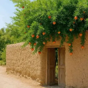 توكلنا عليك ياالله