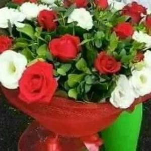 Haider Tawfik