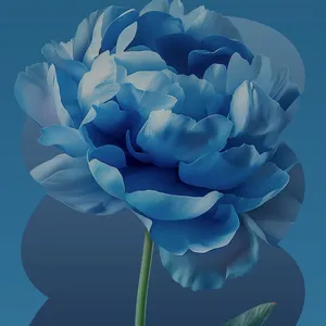 حسين حسن الشمري