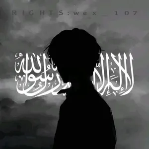 مصطفى محمد