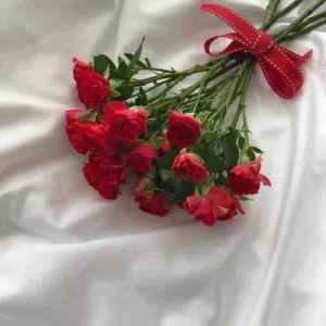 ليان العلي