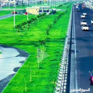 علاء
