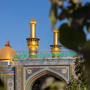 ابتسام حميد شبك