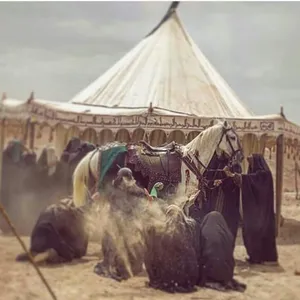 ابو مصطفى