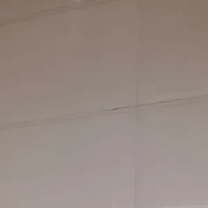 باقر محمد