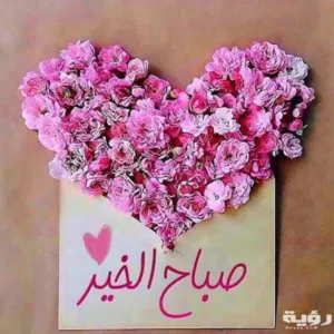 الامير علي