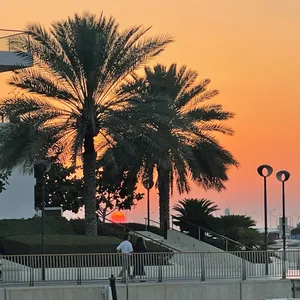 عمار شاكر