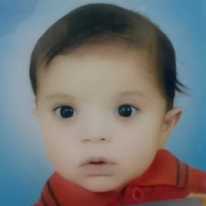محمد حسين