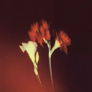 منتظر