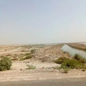 سلام