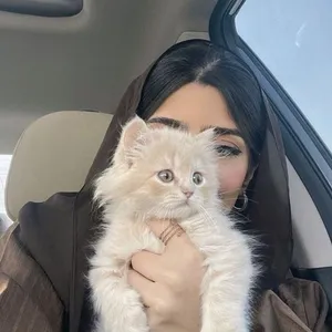 كوزمتيكا