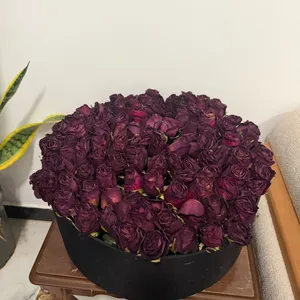شيماء عمار