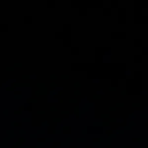 فراشه