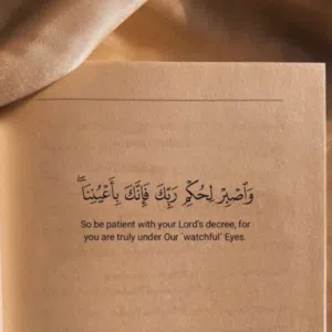 محمد رضا