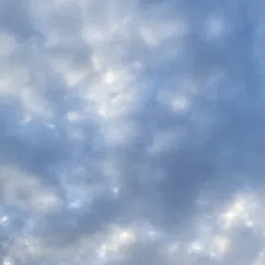 علي