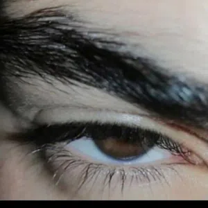 ابو حسن