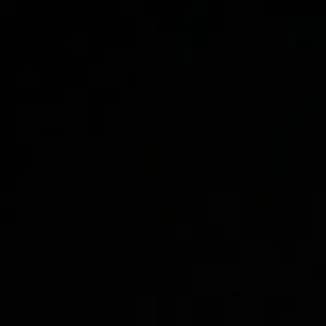 مندوبه زهراء